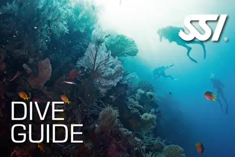 Advanced Open Water Diver